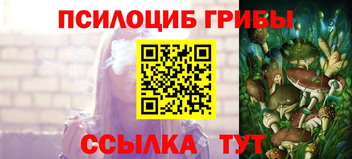 Волжский  Псилоцибиновые грибы Psilocybe  Вход с VPN 